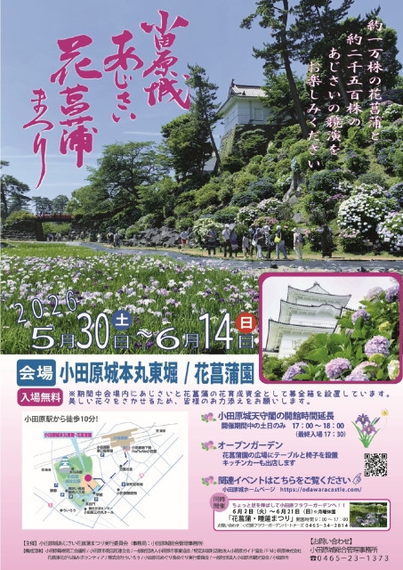 小田原城あじさい花菖蒲まつり